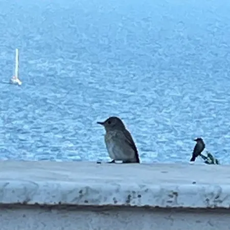 Bianca, Piscina E Panorama Βίλα Torre delle Stelle