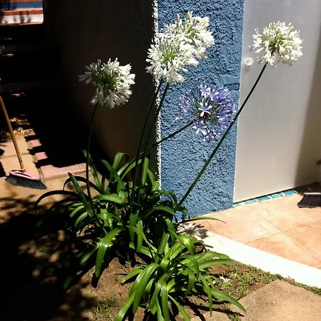 Bianca, Piscina E Panorama