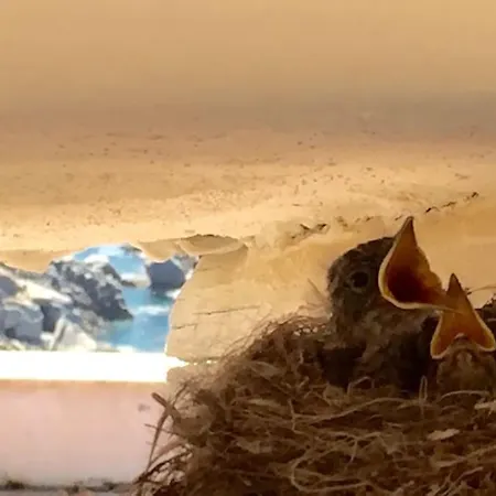 Bianca, Piscina E Panorama Βίλα