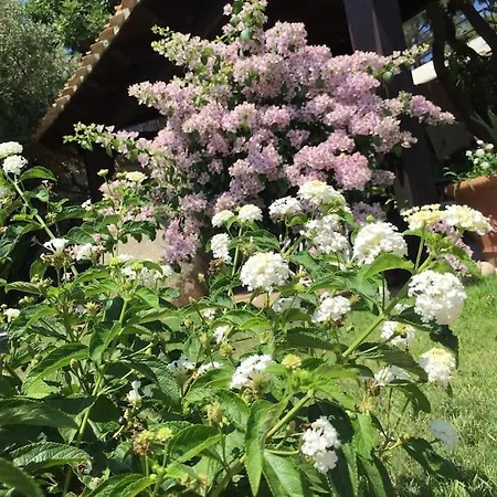 Βίλα Bianca, Piscina E Panorama *